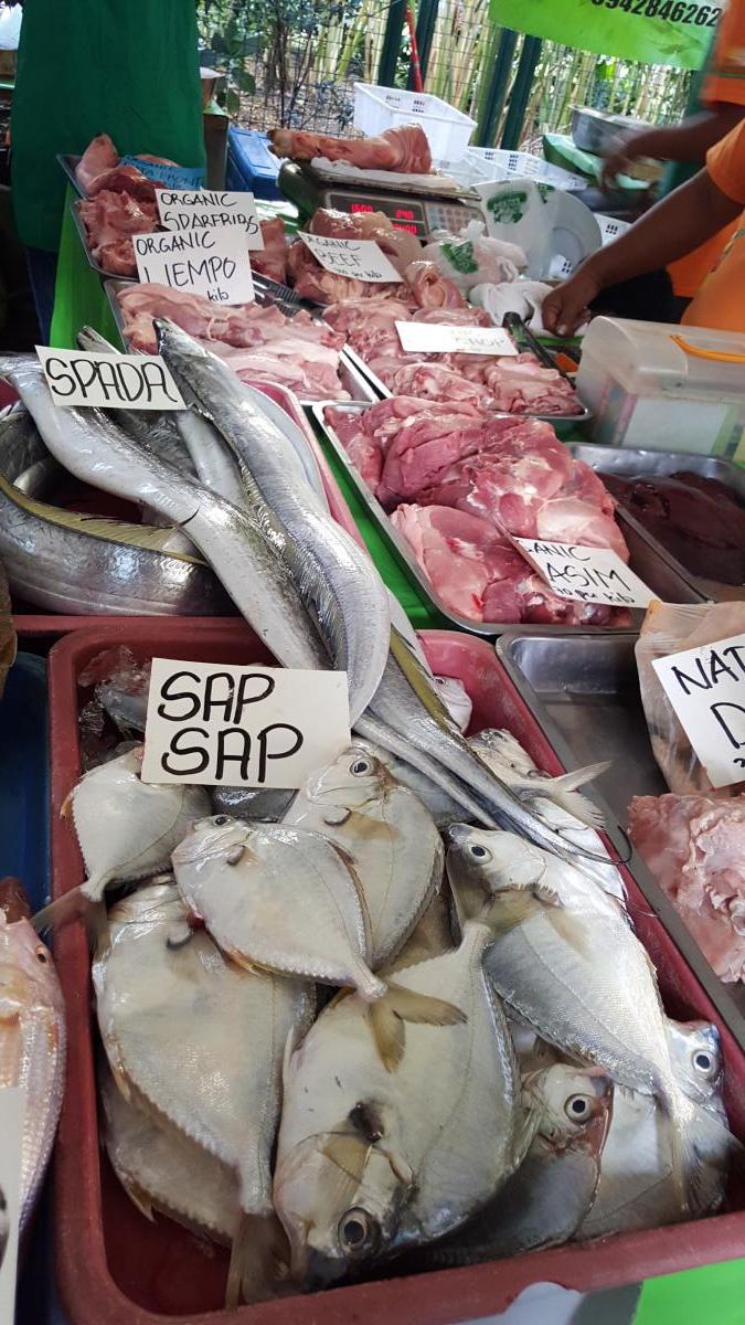 Sap-sap, Spada, Kasim, Liempo