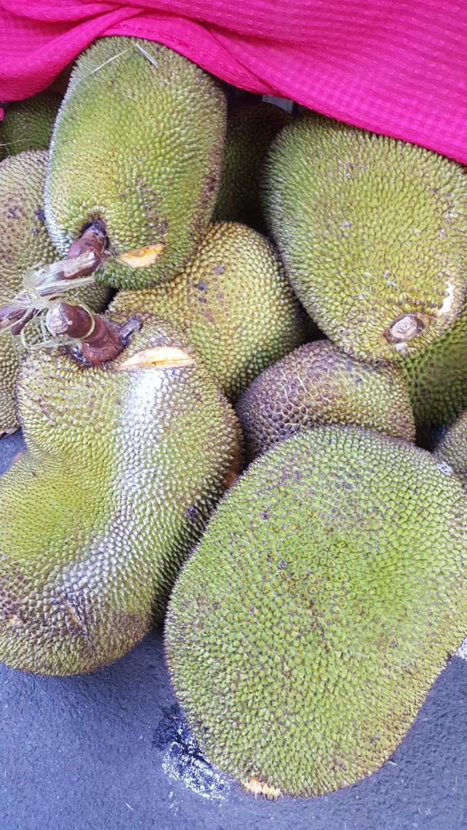 Jackfruit